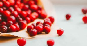El arándano rojo y sus beneficios