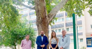 La UJA se suma a la campaña europea de Árboles Singulares