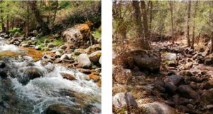 Descubren cómo se mantiene la vida en los arroyos y humedales que se secan en verano