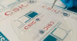 Así son los nuevos bioplásticos que se elaboran con celulosa y valen para envolver alimentos
