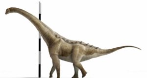 Las obras de AVE desenterraron en Cuenca un dinosaurio único en Europa