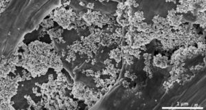 Microplásticos: consiguen eliminarlos del agua con nanoflores de óxido de hierro