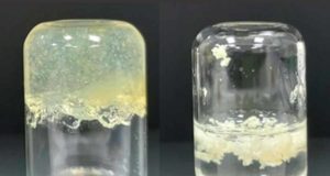 Un hidrogel antimicrobiano que cura heridas y también ayuda a conservar la fruta