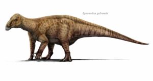 Aparecen en Teruel los restos de uno de los dinosaurios ornitópodos más icónicos del Cretácico
