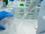 El CSIC logra fondos europeos para proyectos disruptivos sobre enfermedades raras, materiales y computación cuántica