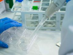El CSIC convoca 124 contratos para jóvenes en Andalucía
