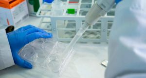 El CSIC convoca 124 contratos para jóvenes en Andalucía