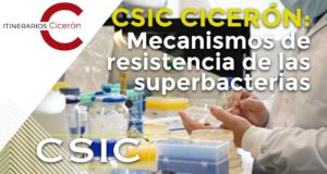 Ya se conoce la estrategia de las superbacterias para protegerse de los antibióticos