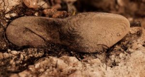 Encuentran y exhuman los restos de dos víctimas del franquismo en un pueblo de Granada