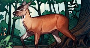 Nuevos fósiles de un pariente lejano del ciervo ayudan a aclarar la evolución de los rumiantes