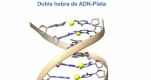 Crean moléculas híbridas de ADN con plata en su interior: abren caminos nuevos a la medicina
