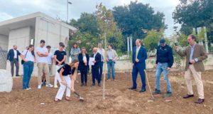 El árbol de los valores de la Medicina, un nuevo símbolo para el campus de la UJA