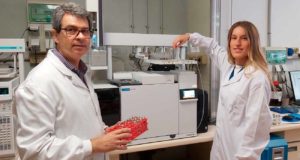 Tras las huellas de nuevos biomarcadores para detectar el glioblastoma y el cáncer colorrectal