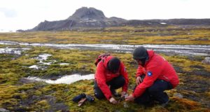 En busca de los compuestos biológicos de interés escondidos en los lugares más extremos del planeta