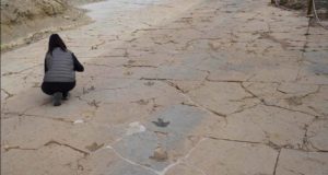 Descubren 50 huellas de dinosaurios carnívoros en un yacimiento de Teruel
