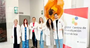 Los tratamientos contra el cáncer se prueban con nuevos modelos de tumores en 3D