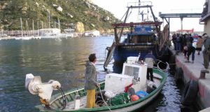 Transformar el sector pesquero del Mediterráneo, objetivo de un proyecto europeo liderado por la UA