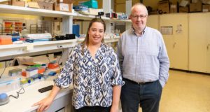 El proyecto con el que una investigadora de Valencia buscan biosensores para detectar el cáncer de mama