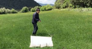 Cuál es el peligro real de garrapatas en el Pirineo: se estudiará en una investigación pionera