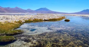 Descubren unas bacterias sorprendentes: reciclan litio y dan pistas sobre la vida en Marte