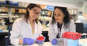 Células de memoria para combatir a bacterias farmacorresistentes: una solución brillante creada por el CSIC