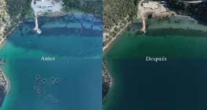 Hyundai y Mares Saludables celebran cinco años limpiando el medio marino y reciclando materiales en nuevos modelos de la marca