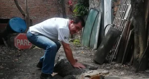 Ñata, el cocodrilo que vivió más de 50 años en un taller de Colombia
