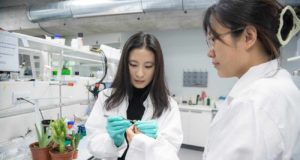 La UCAM, segunda universidad privada de España en investigación interdisciplinar