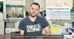 Los receptores de NMDA ofrecen una perspectiva diferente del Alzheimer