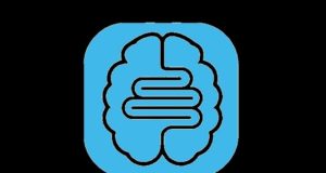 Qué relación existe entre el intestino y el cerebro en personas con autismo: te lo dice esta aplicación hecha en la UA