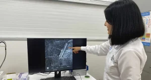 Los bebés están expuestos a microplásticos incluso antes de nacer: los encuentran en la placenta
