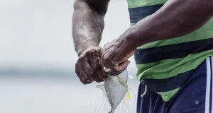 Los peces de una región del Caribe y el Pacífico superan los niveles de mercurio superados por la OMS