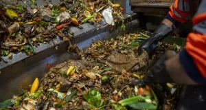 Los residuos alimentarios, materia prima para fabricar metano y carbón ecológico