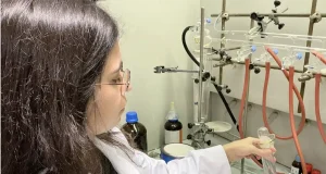 Un nuevo elemento permitirá aumentar la eficacia de los metales preciosos en la industria química