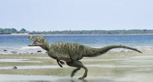 «El ritmo actual de extinción de especies es tan acelerado que se pone en riesgo el ecosistema»