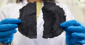 Nuevos envases sostenibles para fruta que además la conservan durante más tiempo