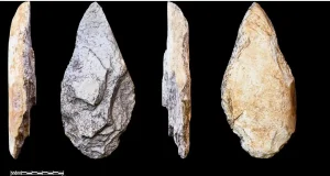 Los humanos de hace 40.000 también vivieron en la selva tropical: herramientas líticas lo evidencian