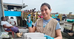 Nueva función descrita en microalgas para tener un pescado de mayor calidad