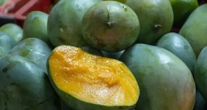 La alternativa a las bolsas de plástico se encuentra en este exquisito fruto tropical