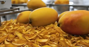 Nueva vida para la cáscara de este fruto tropical: se aprovecha en la producción de bebidas saludables