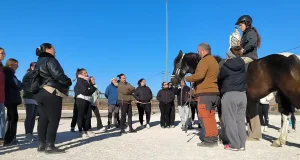 Alumnado del Máster en Intervención Asistida con Animales realiza prácticas en la Granja Veterinaria de la UMU