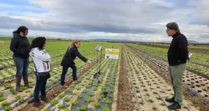 Microorganismos, clave para los fertilizantes de nueva generación