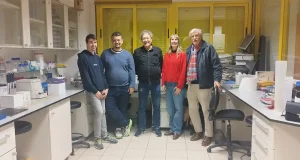 Una fórmula para producir testosterona que hará más sostenible a la industria farmacéutica