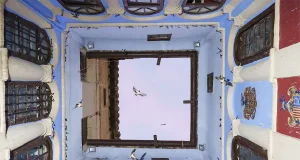 Un estudiante de la Universidad de Alcalá, autor de la mejor imagen de aves del año en España