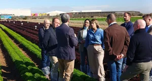 El IMIDA de Murcia registra 29 variedades de frutas en los últimos diez años