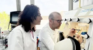 Azafrán: cuida el cerebro, previene la depresión… pero no se sabe cómo actúa en el organismo