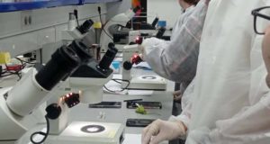 Estudiantes internacionales aprenden en la UAL sobre fertilidad floral