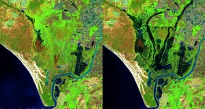 Doñana ha recibido un gran respiro con las últimas lluvias, pero no es suficiente