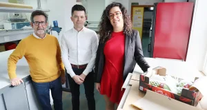 Nuevos envases de cartón y papel que prolongan la vida de frutas y verduras