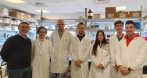 Un antitumoral que multiplica la efectividad de los tratamientos contra el cáncer